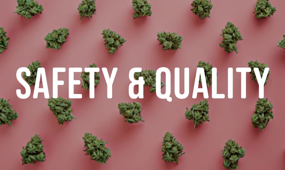 safety and quality